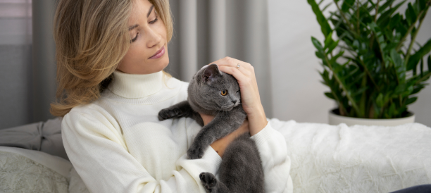 Top Cat Grooming Services and Cat Groomers in Atlanta